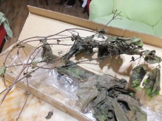Name:  DSCF3194.jpg
Views: 299
Size:  46.0 KB