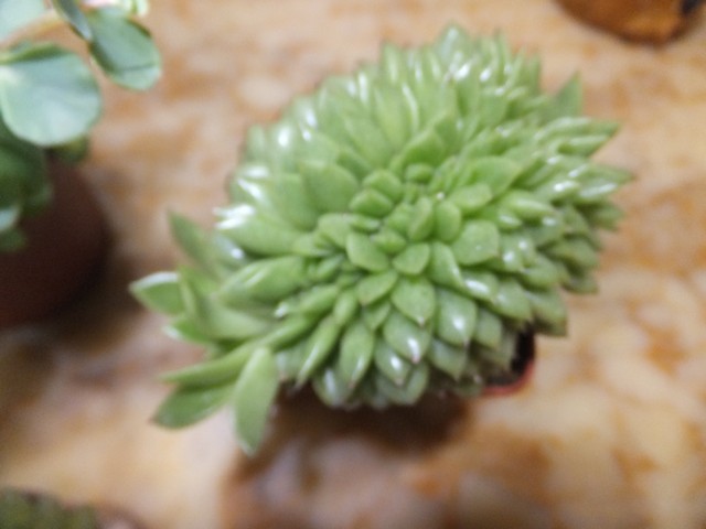 Name:  DSCF3244.jpg
Views: 283
Size:  56.6 KB
