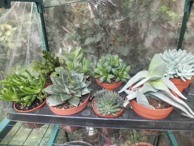 Name:  DSCF3276.jpg
Views: 320
Size:  58.6 KB