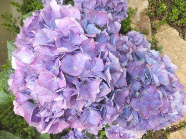 Name:  DSCF3283.jpg
Views: 360
Size:  55.0 KB