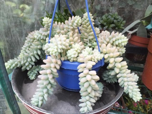 Name:  DSCF3328.jpg
Views: 326
Size:  54.6 KB