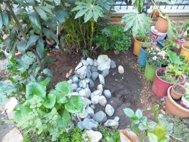 Name:  DSCF3376.jpg
Views: 389
Size:  68.8 KB