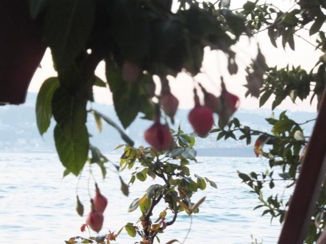 Name:  DSCF3387.jpg
Views: 320
Size:  42.8 KB
