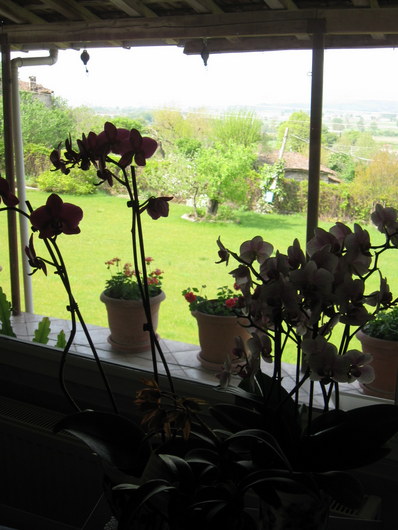 Name:  IMG_9735.JPG
Views: 784
Size:  69.1 KB
