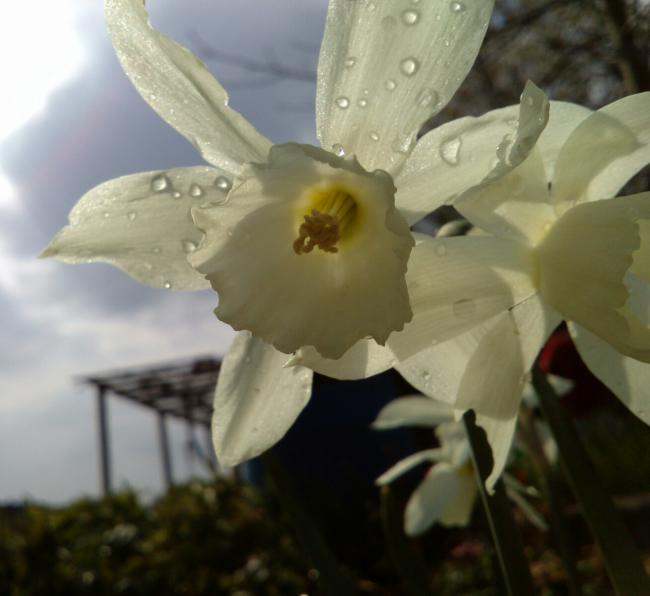 Name:  aviary_1366558994868.jpg
Views: 549
Size:  33.6 KB