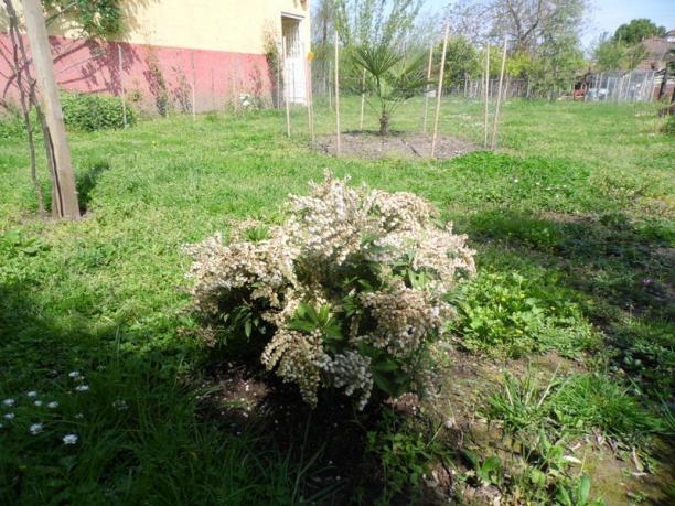 Name:  017-015.jpg
Views: 883
Size:  71.2 KB