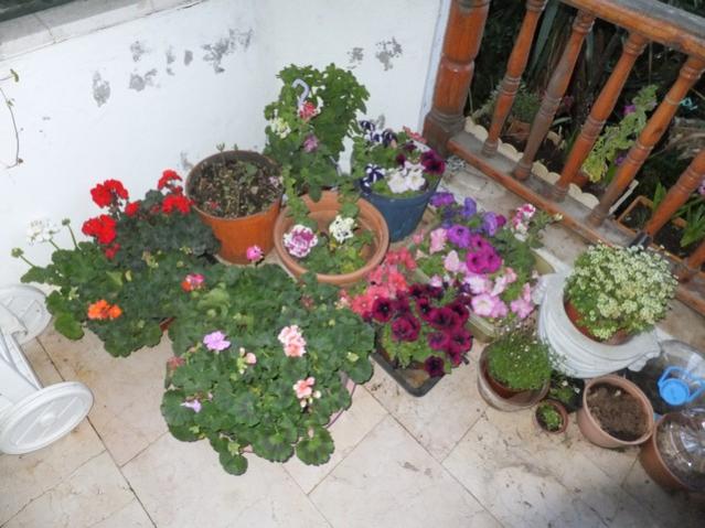 Name:  DSCF3505.jpg
Views: 307
Size:  52.5 KB