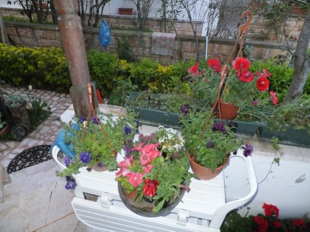 Name:  DSCF3506.jpg
Views: 309
Size:  59.2 KB