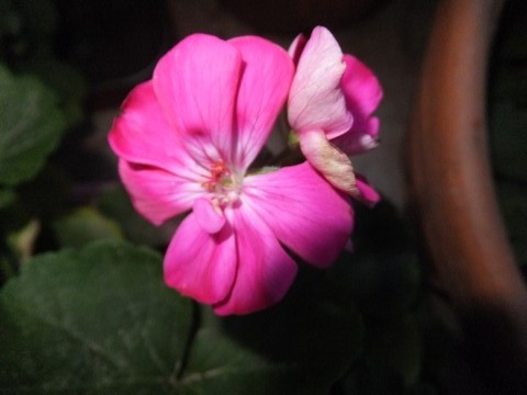 Name:  DSCF3534.jpg
Views: 304
Size:  51.4 KB
