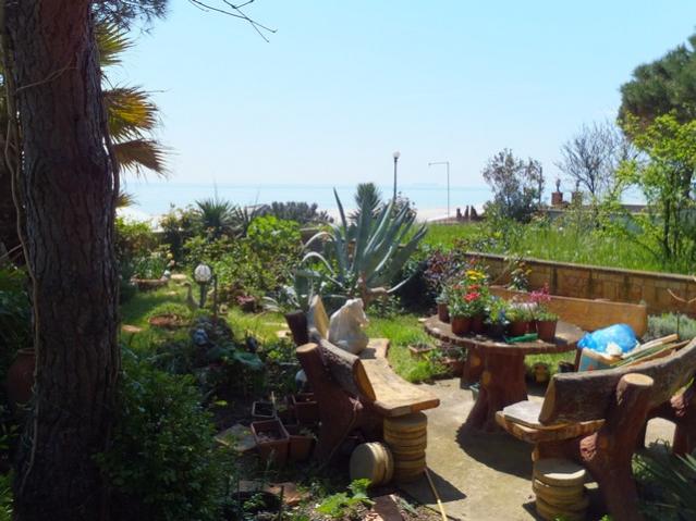Name:  DSCF3544.jpg
Views: 295
Size:  49.7 KB