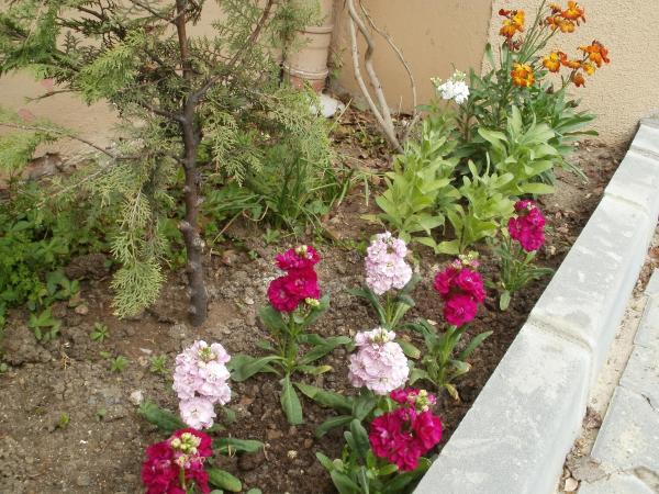 Name:  P1010172a.jpg
Views: 425
Size:  70.7 KB