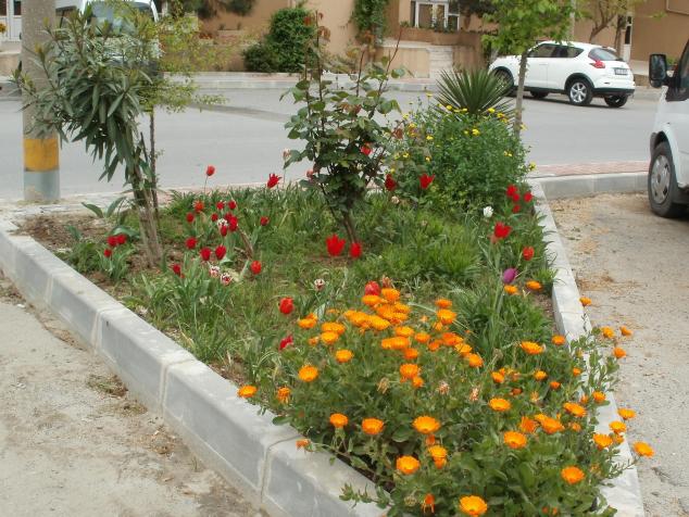Name:  P1010183a.jpg
Views: 453
Size:  70.1 KB