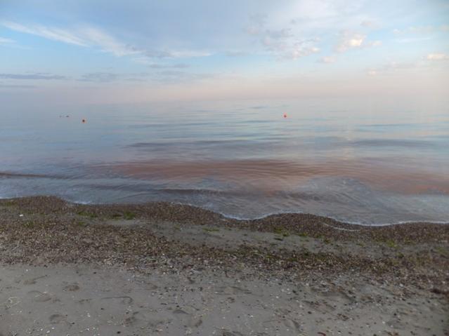 Name:  DSCF3579.jpg
Views: 313
Size:  32.9 KB