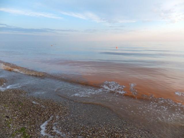 Name:  DSCF3580.jpg
Views: 324
Size:  35.7 KB