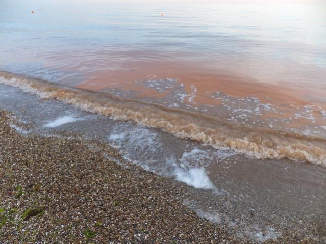 Name:  DSCF3587.jpg
Views: 282
Size:  52.3 KB