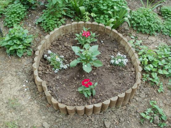 Name:  P1010194a.jpg
Views: 606
Size:  71.0 KB