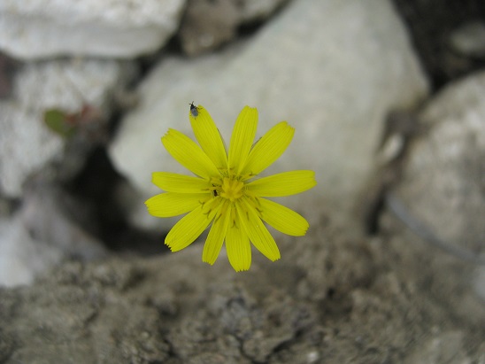 Name:  kr .2.jpg
Views: 1358
Size:  61.7 KB