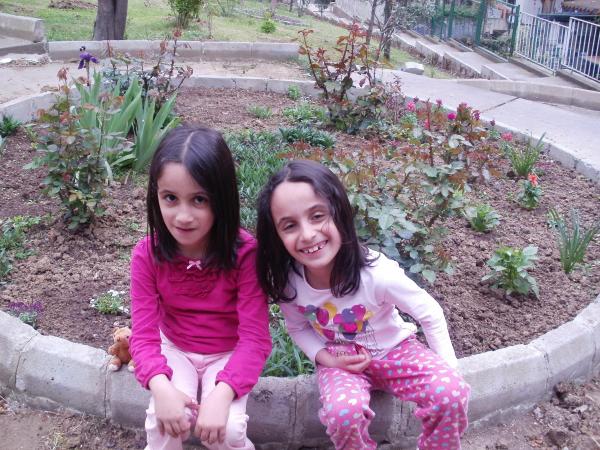 Name:  P1010191a.jpg
Views: 535
Size:  71.2 KB