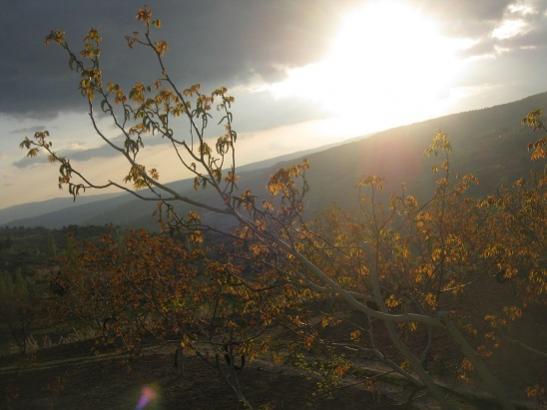Name:  akam zeri.jpg
Views: 1545
Size:  28.5 KB