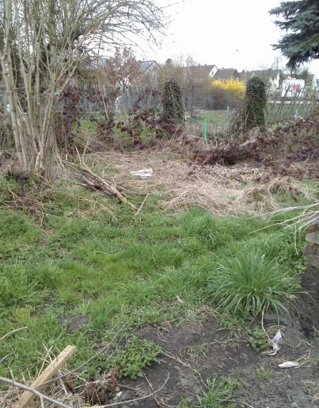 Name:  aviary_1366231774121.jpg
Views: 544
Size:  73.8 KB