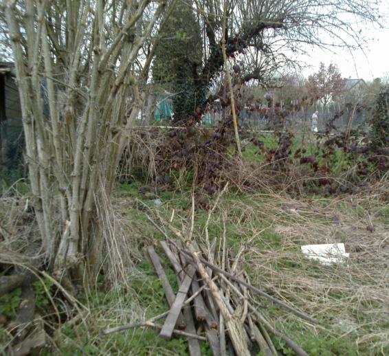 Name:  aviary_1366559144212.jpg
Views: 561
Size:  72.8 KB