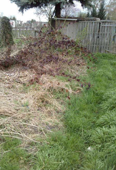 Name:  aviary_1366559173788.jpg
Views: 562
Size:  77.0 KB