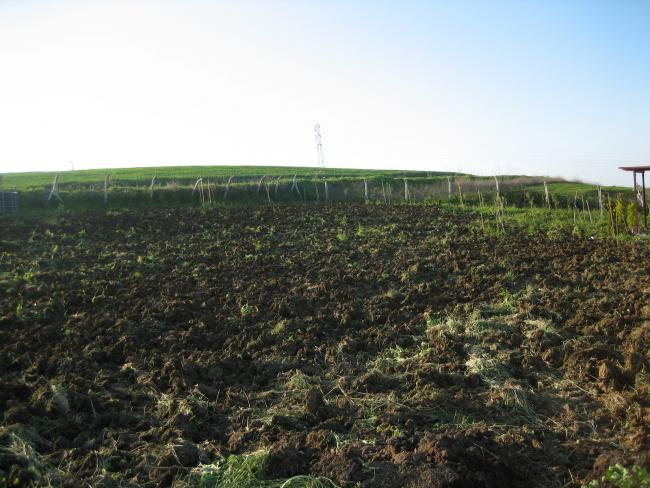 Name:  atalca 013.jpg
Views: 1178
Size:  58.5 KB