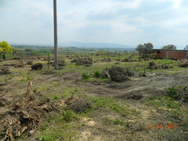 Name:  DSCN1827.jpg
Views: 1108
Size:  50.0 KB