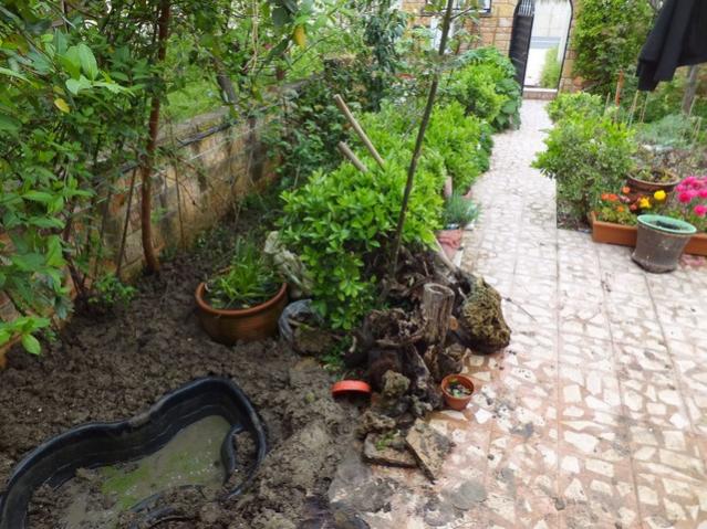 Name:  DSCF3661.jpg
Views: 625
Size:  69.8 KB