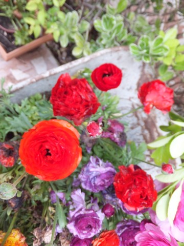 Name:  DSCF3672.jpg
Views: 570
Size:  63.0 KB