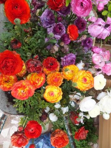 Name:  DSCF3673.jpg
Views: 593
Size:  41.9 KB