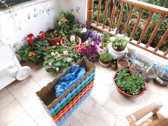 Name:  DSCF3720.jpg
Views: 554
Size:  61.9 KB