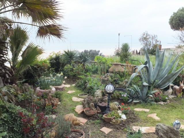 Name:  DSCF3725.jpg
Views: 533
Size:  60.1 KB