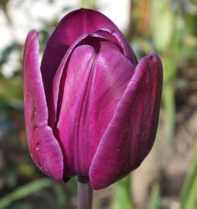 Name:  DSCF0402.jpg
Views: 507
Size:  46.6 KB