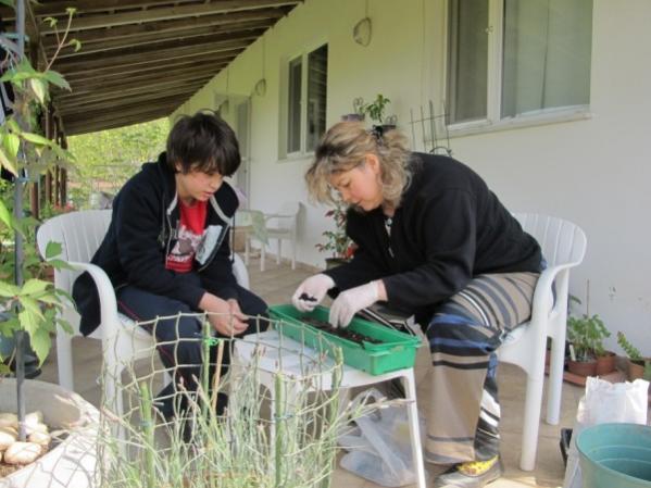 Name:  IMG_1315 (600 x 450).jpg
Views: 1092
Size:  44.0 KB
