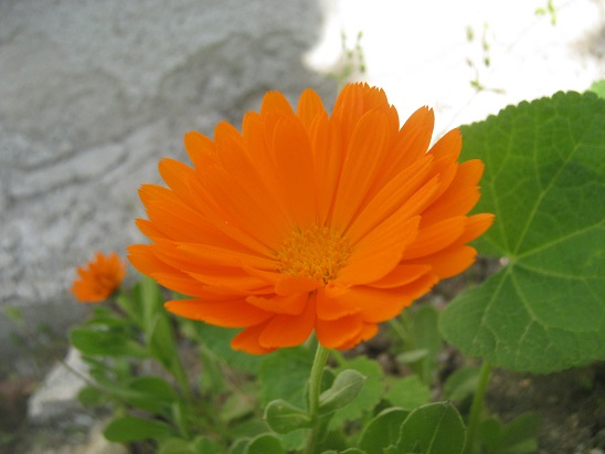 Name:  aynsafa.jpg
Views: 1776
Size:  67.0 KB