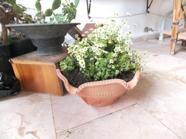 Name:  DSCF3779.jpg
Views: 558
Size:  44.6 KB