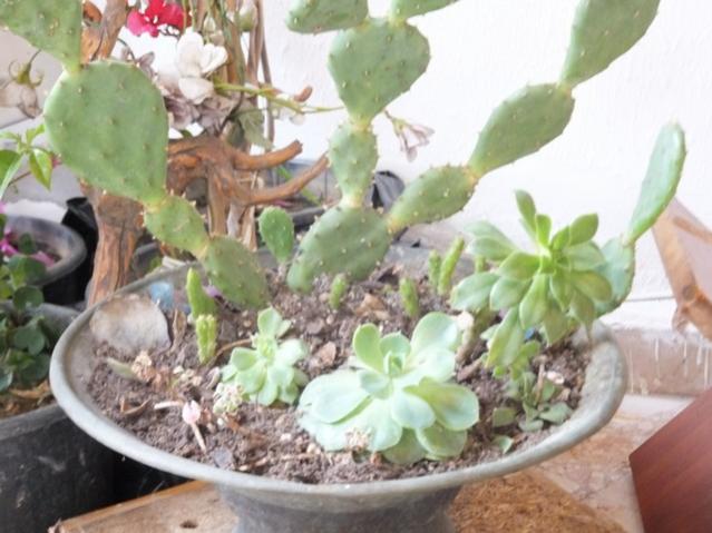 Name:  DSCF3784.jpg
Views: 581
Size:  46.6 KB