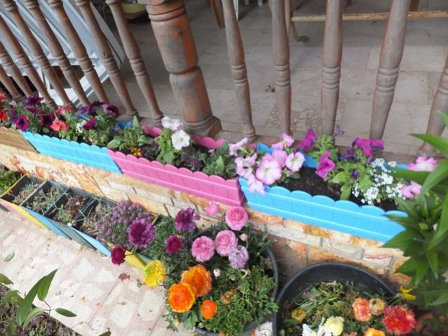 Name:  DSCF3788.jpg
Views: 325
Size:  61.4 KB