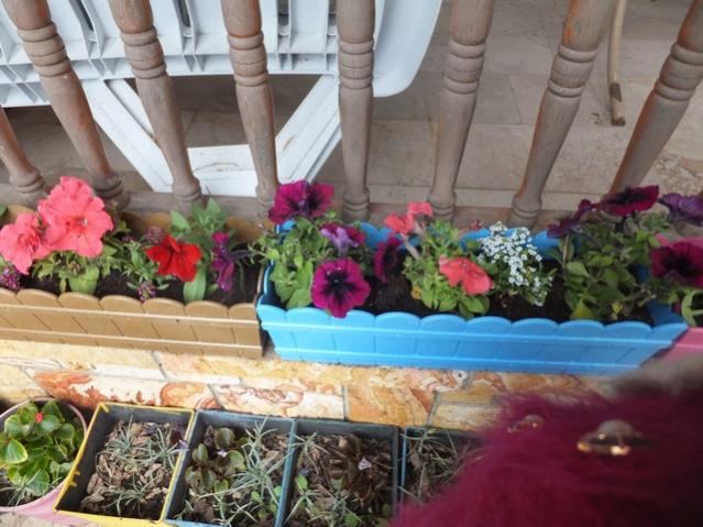Name:  DSCF3789.jpg
Views: 307
Size:  54.0 KB