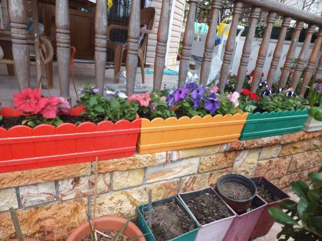 Name:  DSCF3791.jpg
Views: 320
Size:  64.3 KB