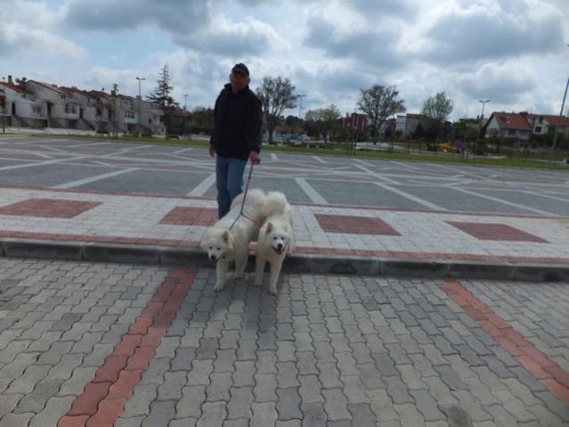 Name:  DSCF3762.jpg
Views: 542
Size:  41.9 KB