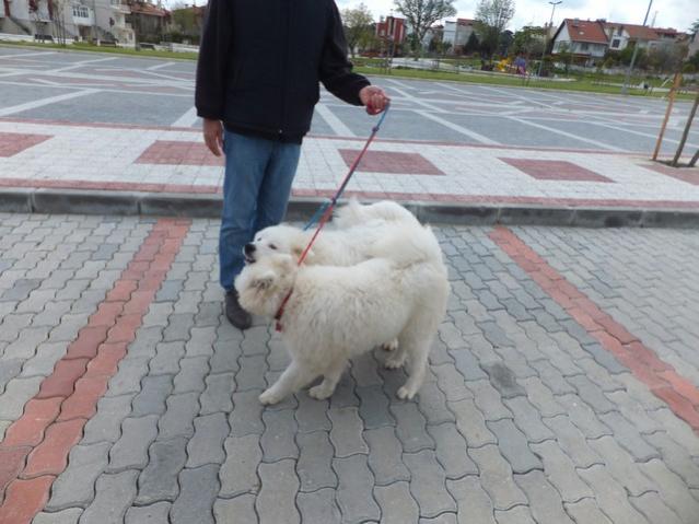 Name:  DSCF3764.jpg
Views: 579
Size:  46.2 KB