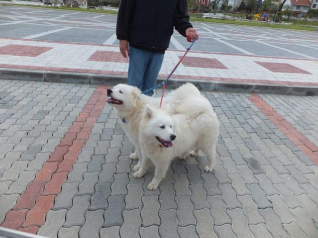 Name:  DSCF3765.jpg
Views: 552
Size:  45.7 KB