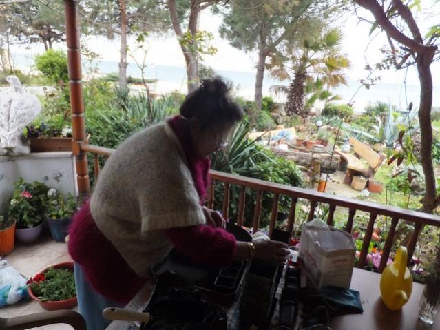 Name:  DSCF3831.jpg
Views: 486
Size:  59.5 KB