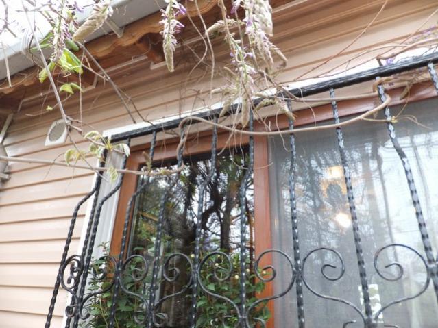Name:  DSCF3881.jpg
Views: 516
Size:  63.1 KB