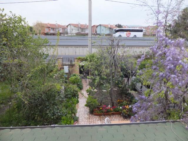Name:  DSCF3896.jpg
Views: 498
Size:  58.9 KB