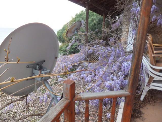 Name:  DSCF3898.jpg
Views: 529
Size:  55.7 KB