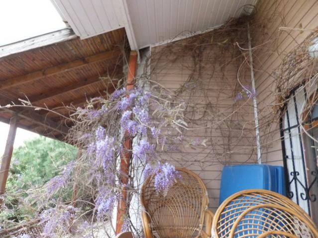 Name:  DSCF3899.jpg
Views: 537
Size:  59.1 KB