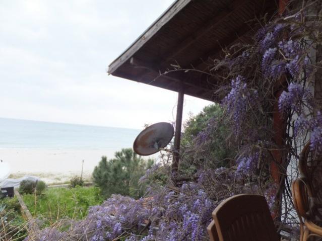 Name:  DSCF3901.jpg
Views: 542
Size:  42.9 KB